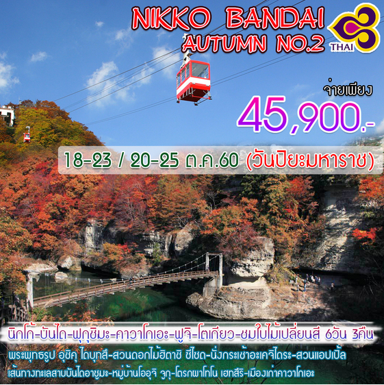 ทัวร์ญี่ปุ่น 6 วัน 3 คืน Nikko Bendai Autumn No.2นิกโก้ บันได ฟุกุชิมะ คาวาโกเอะ ฟูจิ โตเกียว  ชมใบไม้เปลี่ยนสี 6 วัน 3 คืน รูปที่ 1