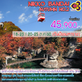 ทัวร์ญี่ปุ่น 6 วัน 3 คืน Nikko Bendai Autumn No.2นิกโก้ บันได ฟุกุชิมะ คาวาโกเอะ ฟูจิ โตเกียว  ชมใบไม้เปลี่ยนสี 6 วัน 3 คืน