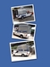 รูปย่อ ขายรถใหม่ ป้ายแดง จากโชว์รูมTOYOTA รถTestdrive และ รถมือสอง สภาพสวย รูปที่4