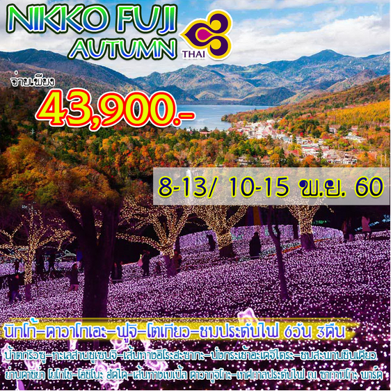 เที่ยวญี่ปุ่น NIKKO FUJI AUTUMN นิกโก้ คาวาโกเอะ ฟูจิ โตเกียว ชมประดับไฟ 6 วัน 3 คืนบิน TG รูปที่ 1