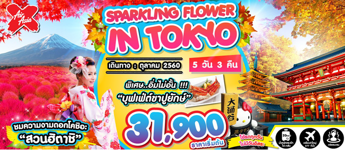 ทัวร์ญี่ปุ่น 5 วัน 3 คืน บิน XJ SPARKLING FLOWER IN TOKYO เดินทางตุลาคม 60 รูปที่ 1