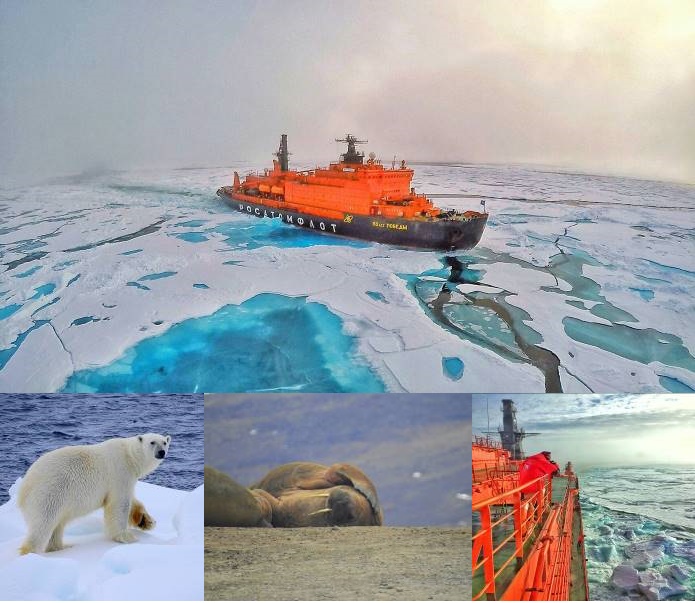 พิชิต ขั้วโลกเหนือ (North Pole) 15 วัน 13 คืน  วันที่  7 - 21 กรกฎคม 2561 รูปที่ 1