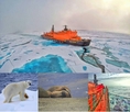 พิชิต ขั้วโลกเหนือ (North Pole) 15 วัน 13 คืน  วันที่  7 - 21 กรกฎคม 2561