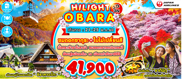 เที่ยวญี่ปุ่น 5 วัน 3 คืน HILIGHT OBARA บิน JL ชมความงามของดอกซากุระ พร้อมกับใบไม้เปลี่ยนสี กันที่โอบาระ รูปที่ 1