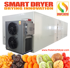 เครื่องอบแห้งประหยัดพลังงาน รุ่น SMART DRYER  รูปที่ 5