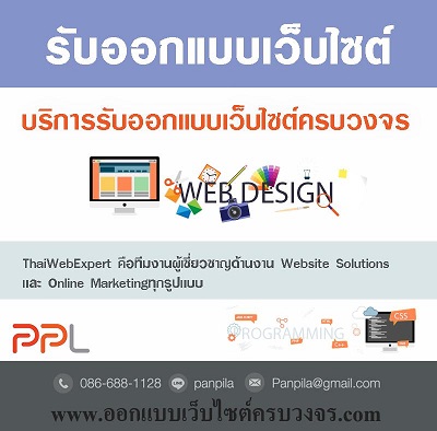 บริการรับออกแบบเว็บไซต์ทุกรูปแบบ WEBSITE DESIGN SERVICE  รูปที่ 1
