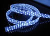 รูปย่อ ไฟสายยาง LED Rope light 5050 แบบแบน รูปที่2