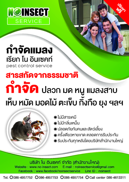 บริการรับกำจัดปลวก หนู แมลง ด้วยสารสกัดจากธรรมชาติ รูปที่ 3