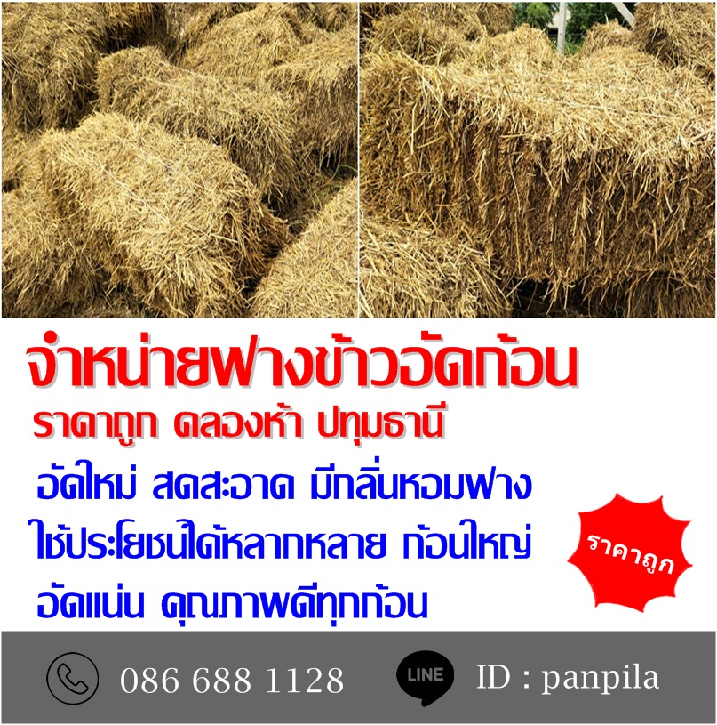 ขายฟางข้าวอัดก้อน รูปที่ 2