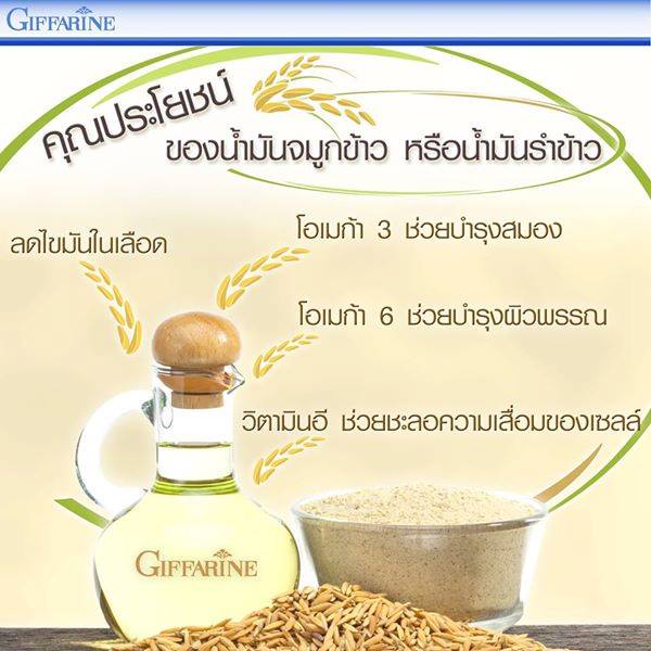 น้ำมันรำข้าว กิฟฟารีน ORYZA-E  รูปที่ 1