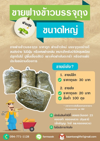 ขายฟางข้าวบรรจุถุง ราคาถูก คลองห้า คลองหลวง ปทุมธานี (โดย มือเปื้อนดิน) รูปที่ 2