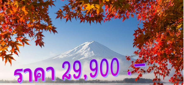 ทัวร์ญี่ปุ่น Beautiful Tokyo 5 วัน 3 คืน บิน XJ เดินทาง 27 – 31 ตุลาคม 2560 รูปที่ 1