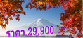 ทัวร์ญี่ปุ่น Beautiful Tokyo 5 วัน 3 คืน บิน XJ เดินทาง 27 – 31 ตุลาคม 2560