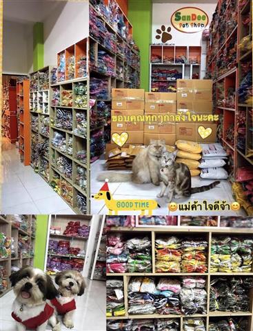 ร้านแสนดีเพ็ทช็อป ผู้ผลิตเสื้อสุนัขแมว  ออกแบบและตัดเย็บเอง รับรองคุณภาพ รูปที่ 4