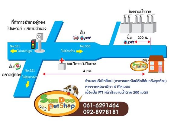 ร้านแสนดีเพ็ทช็อป ผู้ผลิตเสื้อสุนัขแมว  ออกแบบและตัดเย็บเอง รับรองคุณภาพ รูปที่ 6