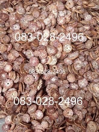 หมากแห้ง ตัดแผ่น  Sliced dried betel nut on sale for export. รูปที่ 1