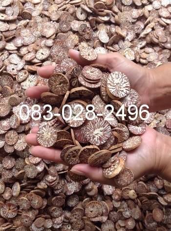 หมากแห้ง ตัดแผ่น  Sliced dried betel nut on sale for export. รูปที่ 3
