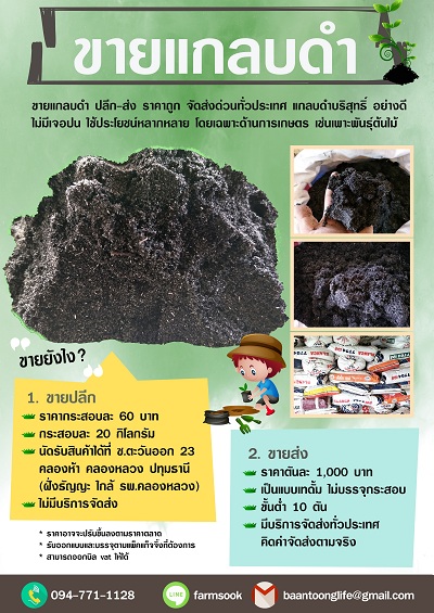 ขายแกลบดำ ปลีก-ส่ง ราคาถูก จัดส่งด่วนทั่วประเทศ (โดย มือเปื้อนดิน) รูปที่ 2