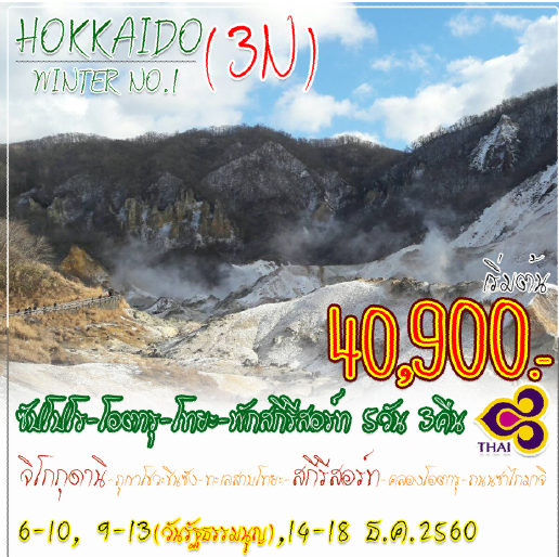 ทัวร์ญี่ปุ่นHOKKAIDO WINTER NO1ซัปโปโร โอตารุ โทยะ พักสกีรีสอร์ท 5วัน 3 คืนบิน TG ธันวาคม รูปที่ 1