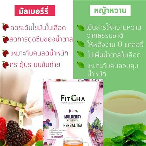 FitCha ชามัลเบอร์รี่ ไอเทมดีๆสำหรับสาวรักสุขภาพที่ชอบดื่มชา รูปที่ 4