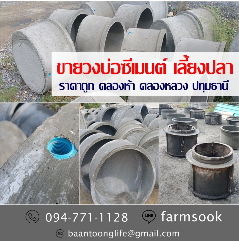 ขายวงบ่อซีเมนต์เลี้ยงปลา ราคาถูก คลองห้า คลองหลวง ปทุมธานี (โดย มือเปื้อนดิน) รูปที่ 2