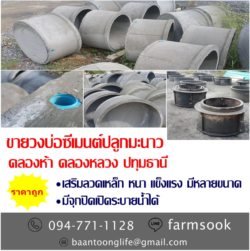 ขายวงบ่อซีเมนต์ปลูกมะนาว ราคาถูก คลองห้า คลองหลวง ปทุมธานี (โดย มือเปื้อนดิน) รูปที่ 2
