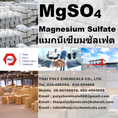 แมกนีเซียมซัลเฟต, แมกนีเซียมซัลเฟท, ดีเกลือ, Magnesium Sulfate, Magnesium Sulphate, MgSO4, Epsom Salt