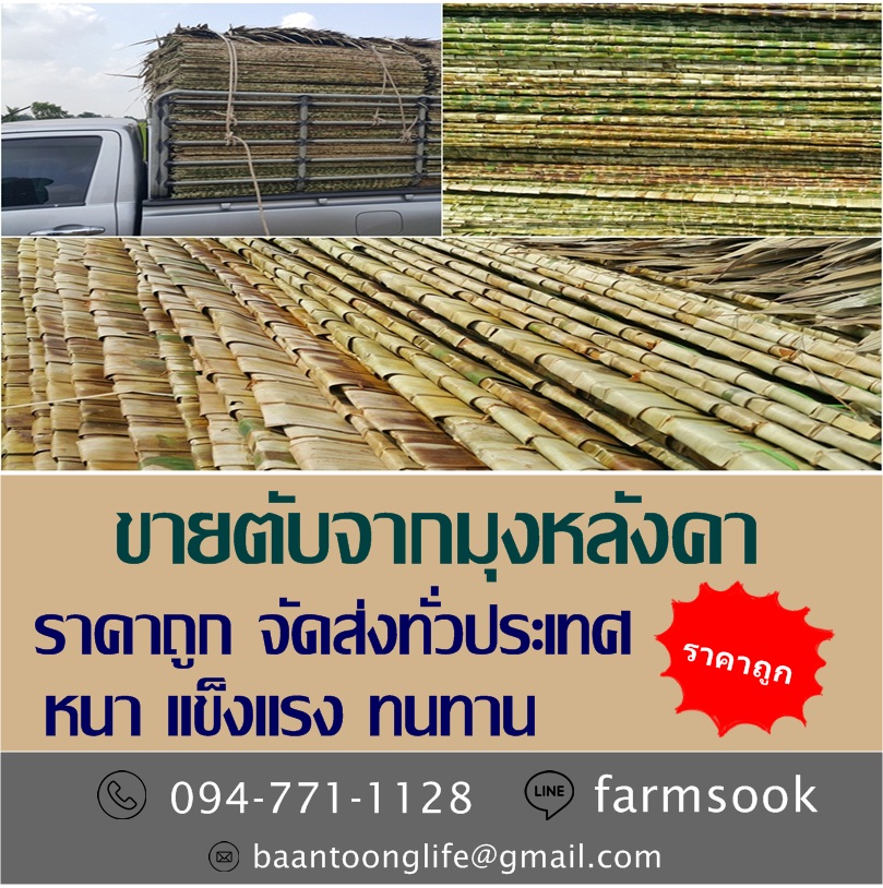 ขายตับจากมุงหลังคา ราคาถูก จัดส่งทั่วประเทศ (โดย มือเปื้อนดิน) รูปที่ 2
