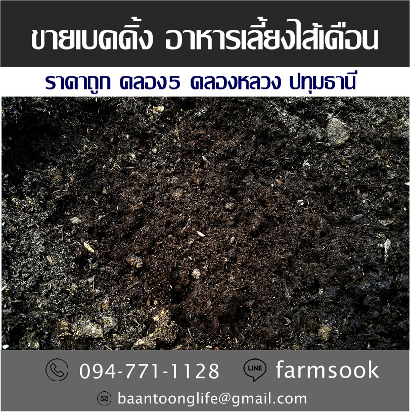 ขายเบดดิ้ง อาหารเลี้ยงไส้เดือน ราคาถูก คลอง5 คลองหลวง ปทุม (โดย มือเปื้อนดิน) รูปที่ 4