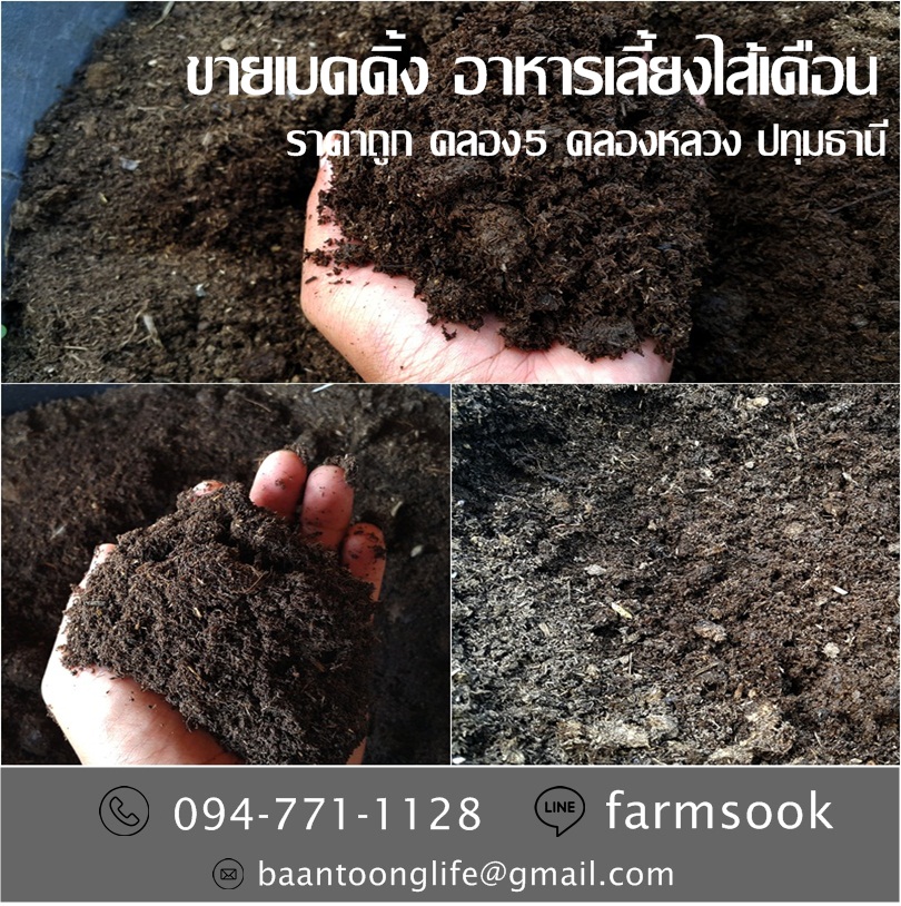 ขายเบดดิ้ง อาหารเลี้ยงไส้เดือน ราคาถูก คลอง5 คลองหลวง ปทุม (โดย มือเปื้อนดิน) รูปที่ 3