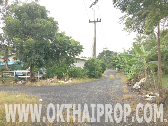 ที่ดิน เนื้อที่ 2 งาน ถ.เลียบคลอง8 หนองเสือ รูปที่ 4