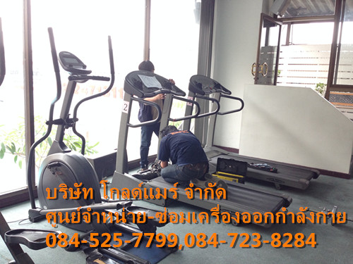 รับดูแลเครื่องออกกำลังกาย Maintenance Fitness Equipment รูปที่ 5
