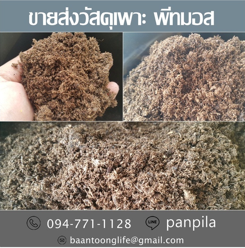 ขายส่งวัสดุเพาะ พีทมอส ปลีก-ส่ง ราคาถูก จัดส่งด่วนทั่วประเทศ (โดย มือเปื้อนดิน) รูปที่ 5