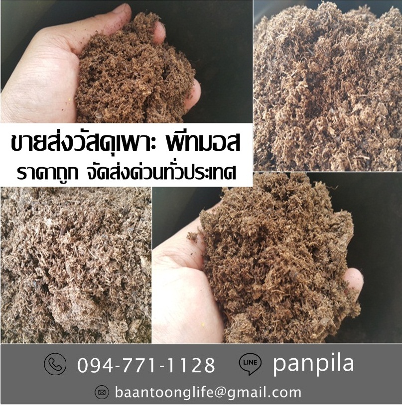ขายส่งวัสดุเพาะ พีทมอส ปลีก-ส่ง ราคาถูก จัดส่งด่วนทั่วประเทศ (โดย มือเปื้อนดิน) รูปที่ 4