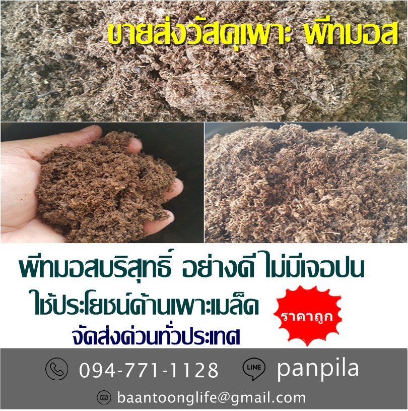 ขายส่งวัสดุเพาะ พีทมอส ปลีก-ส่ง ราคาถูก จัดส่งด่วนทั่วประเทศ (โดย มือเปื้อนดิน) รูปที่ 2