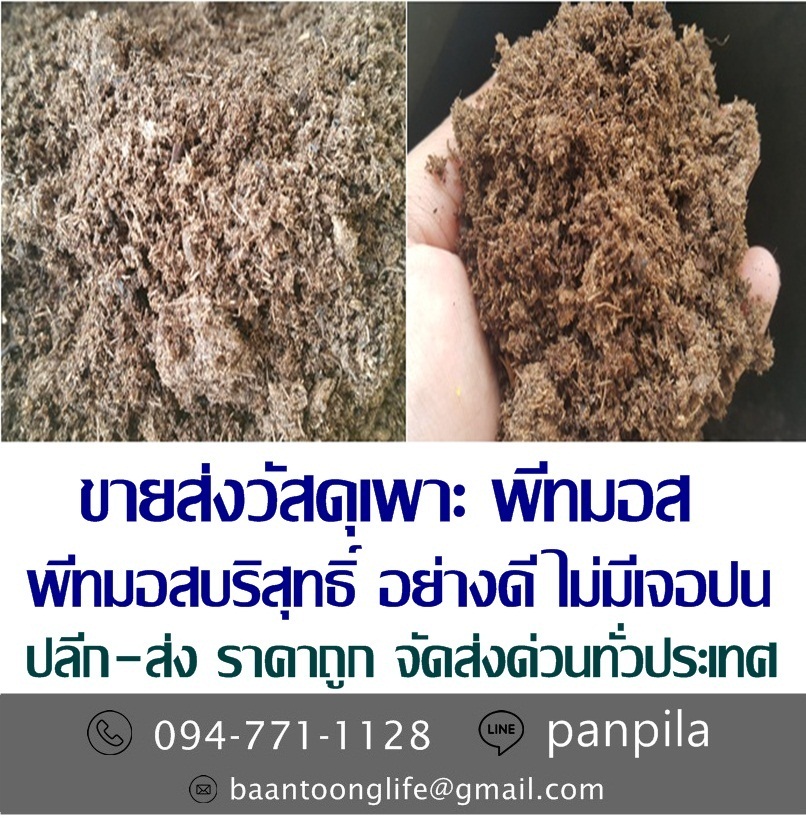 ขายส่งวัสดุเพาะ พีทมอส ปลีก-ส่ง ราคาถูก จัดส่งด่วนทั่วประเทศ (โดย มือเปื้อนดิน) รูปที่ 3