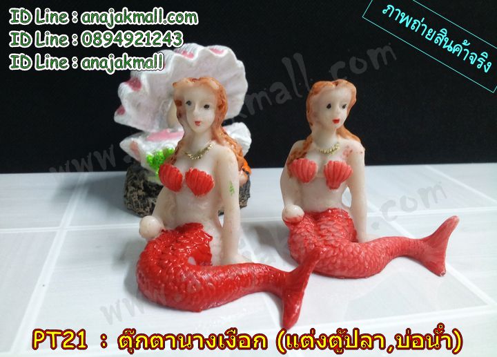 PT21 นางเงือกแต่งตู้ปลา รูปที่ 5