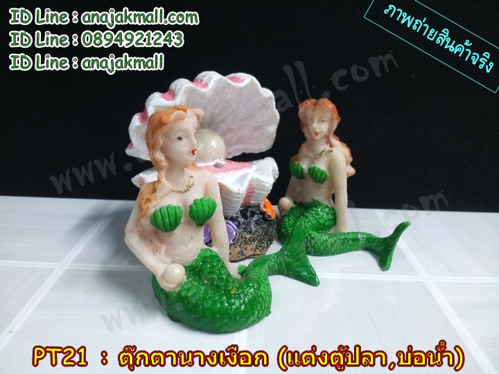 PT21 นางเงือกแต่งตู้ปลา รูปที่ 6