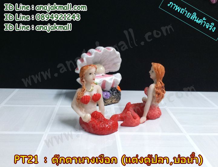 PT21 นางเงือกแต่งตู้ปลา รูปที่ 3