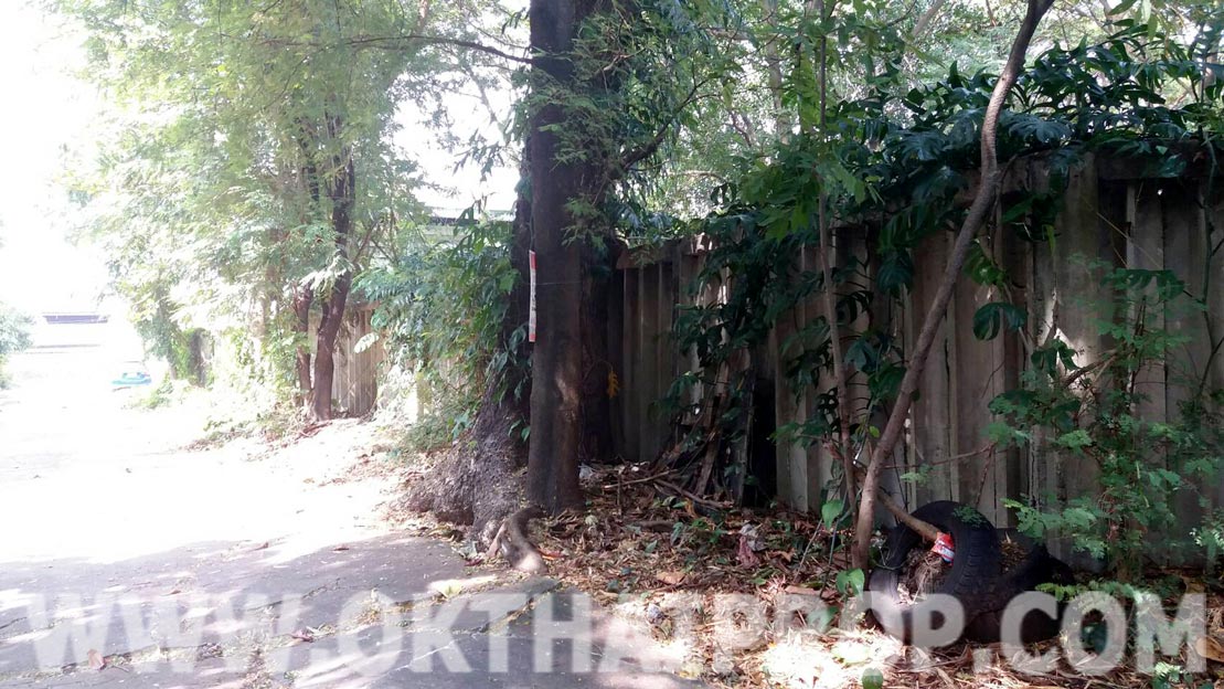 ที่ดิน ซ.สุขุมวิท101 พระโขนง รูปที่ 4