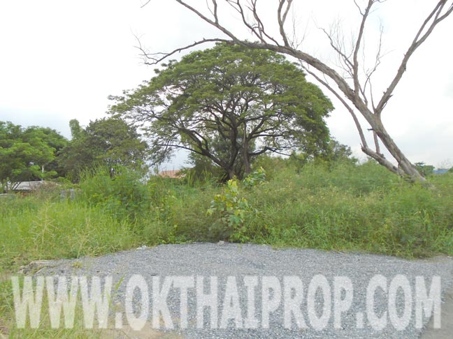 ที่ดินถมแล้ว 2ไร่ 2งาน 80ตร.ว. ซ.เพิ่มสิน15 บางเขน รูปที่ 5