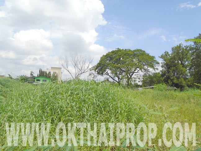 ที่ดินถมแล้ว 2ไร่ 2งาน 80ตร.ว. ซ.เพิ่มสิน15 บางเขน รูปที่ 4