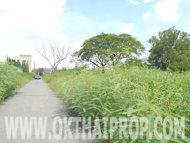 ที่ดินถมแล้ว 2ไร่ 2งาน 80ตร.ว. ซ.เพิ่มสิน15 บางเขน รูปที่ 3