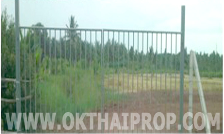 ที่ดินเปล่า 4ไร่ 8.6ตร.วา ต.คุ้งกระถิน อ.ดำเนินสะดวก จ.ราชบุรี รูปที่ 4