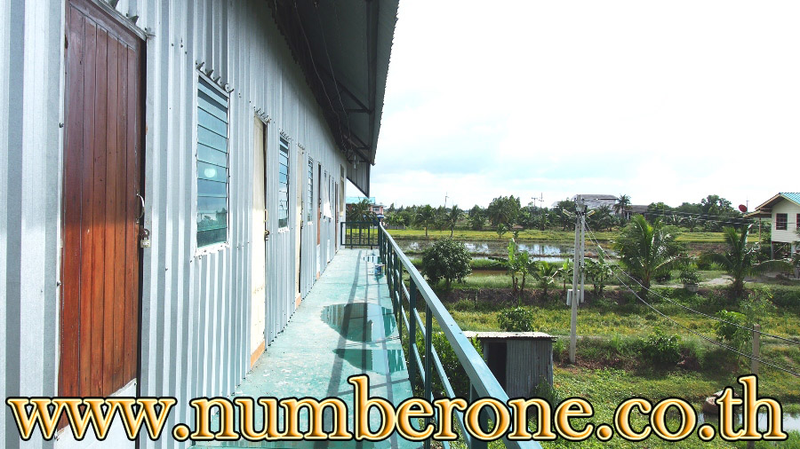 ที่ดินพร้อมโกดัง ถ.สามโคก-เสนา จ.พระนครศรีอยุธยา รูปที่ 7