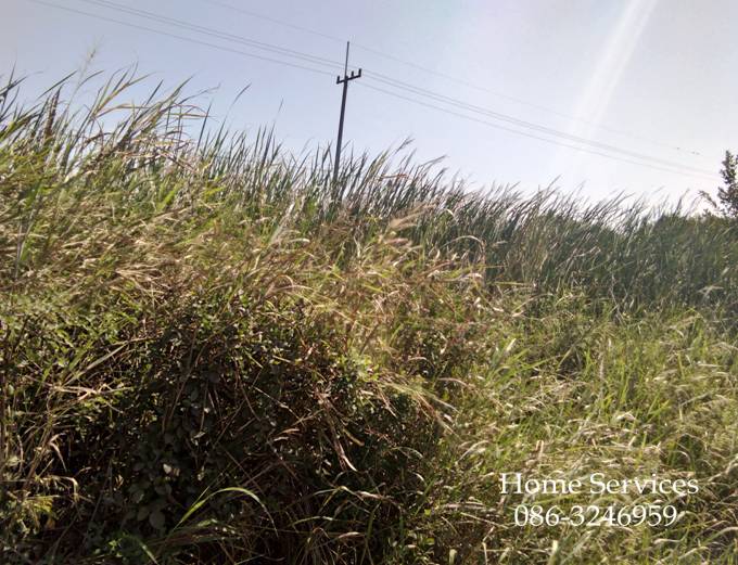 ขายที่ดิน 59 ไร่กว่า ถ.มีนบุรี-วังน้อย (352) ด้านหลังติดถนนเลียบคลอง 7 ใกล้ถนน รังสิต-นครนายก 2.5 กม., ดูโฮม เหมาะทำโครงการ สถาบัน โรงงาน โชว์รูม ปั๊ม รูปที่ 2