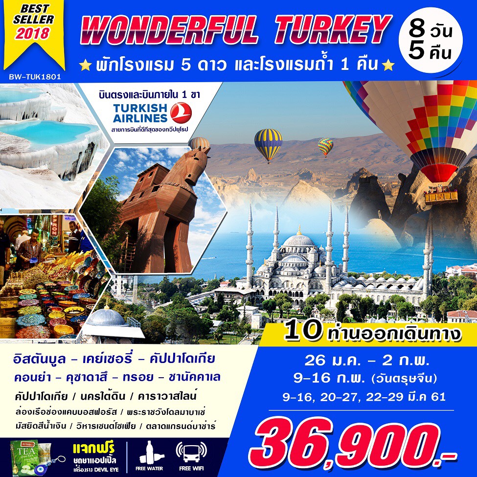WONDERFUL TURKEY 8 วัน 5 คืน   เดือน มกราคม - มีนาคม 2561 รูปที่ 1