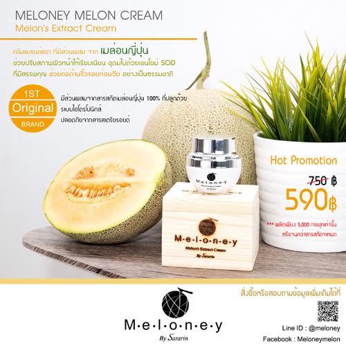 Meloney : Melon's Extract Cream ครีมจากสารสกัดเมล่อน 100% รูปที่ 1