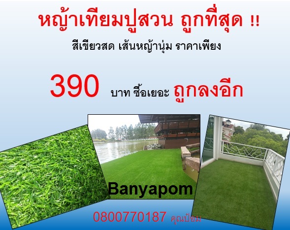 หญ้าเทียมมราคาถูกกก รูปที่ 2