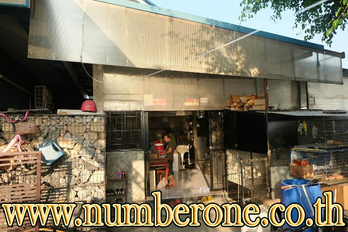 ที่ดินพร้อมโรงงาน ถ.กาญจนาภิเษก ซ.ลำโพ 33 รูปที่ 6
